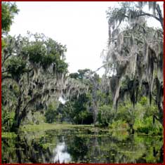 florida-everglades-tour1