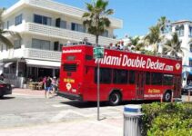 Miami and Fort Lauderdale Tours