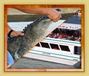 Miami and Fort Lauderdale Tours | Miami Everglades Tours